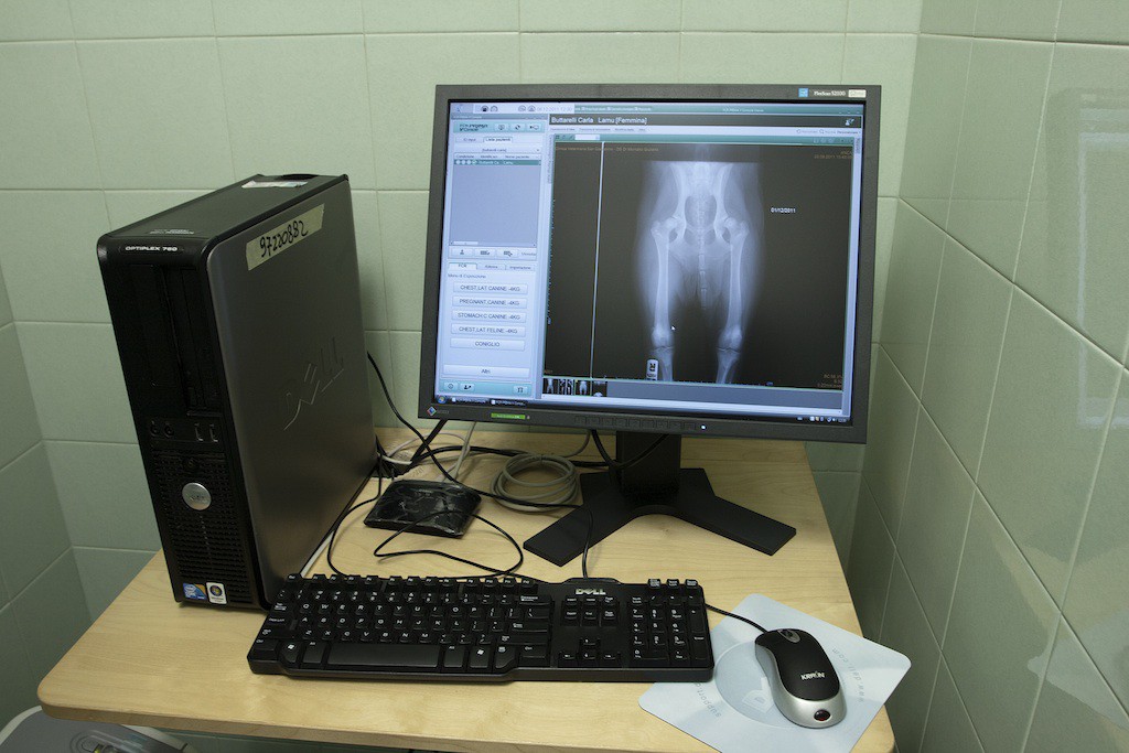 Radiografia digitale