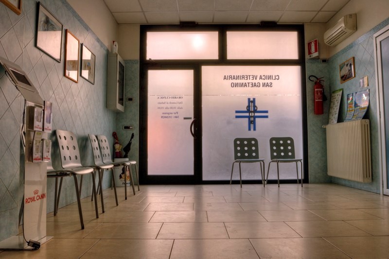 Benvenuti alla Clinica Veterinaria San Gaetanino